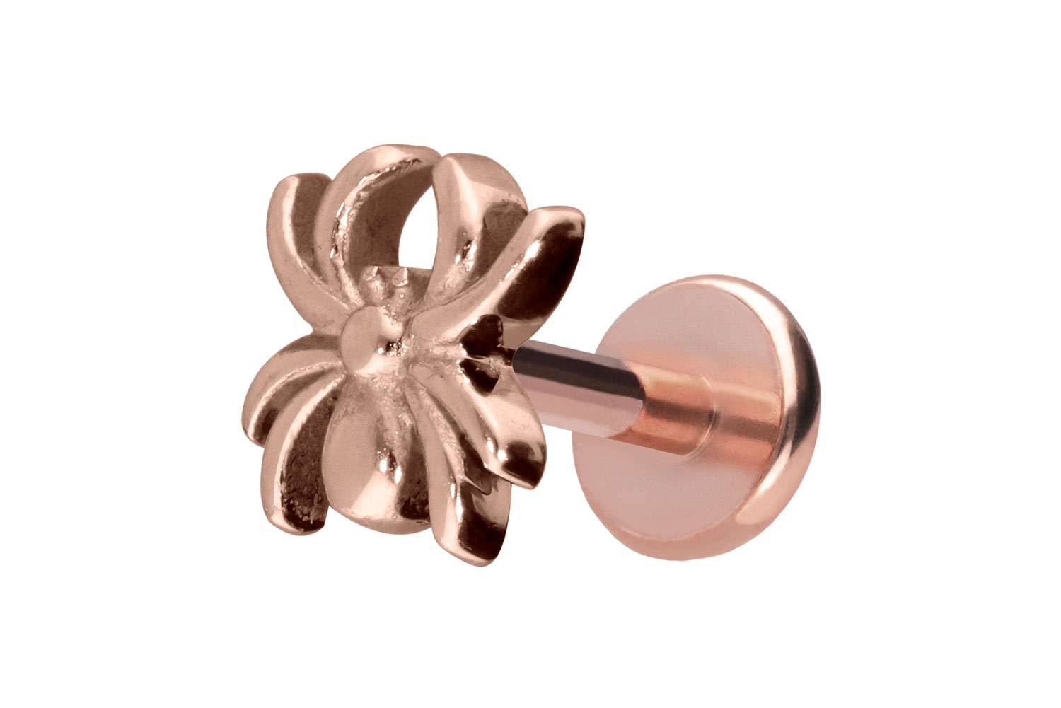 Titan Labret Piercing mit Push Fit SPINNE